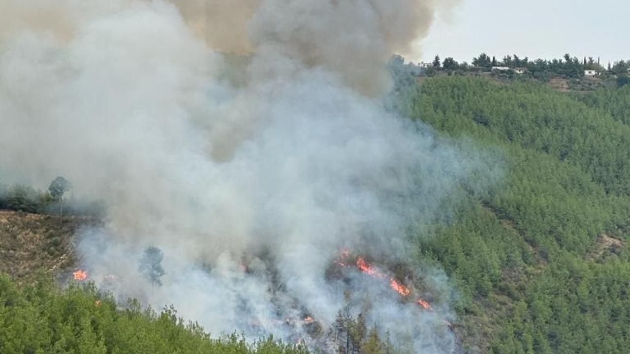 Adana'da çıkan orman yangını kontrol altına alındı