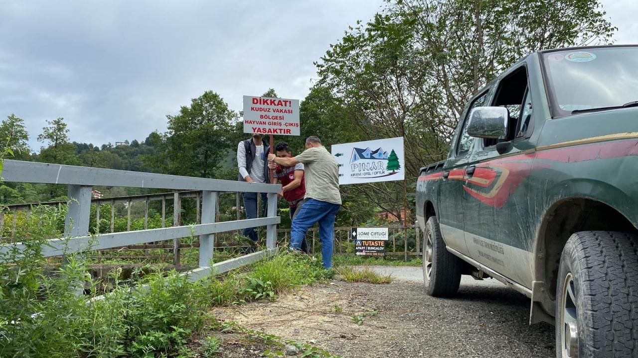 Artvin'de kuduz karantinası! Tam 6 ay sürecek!