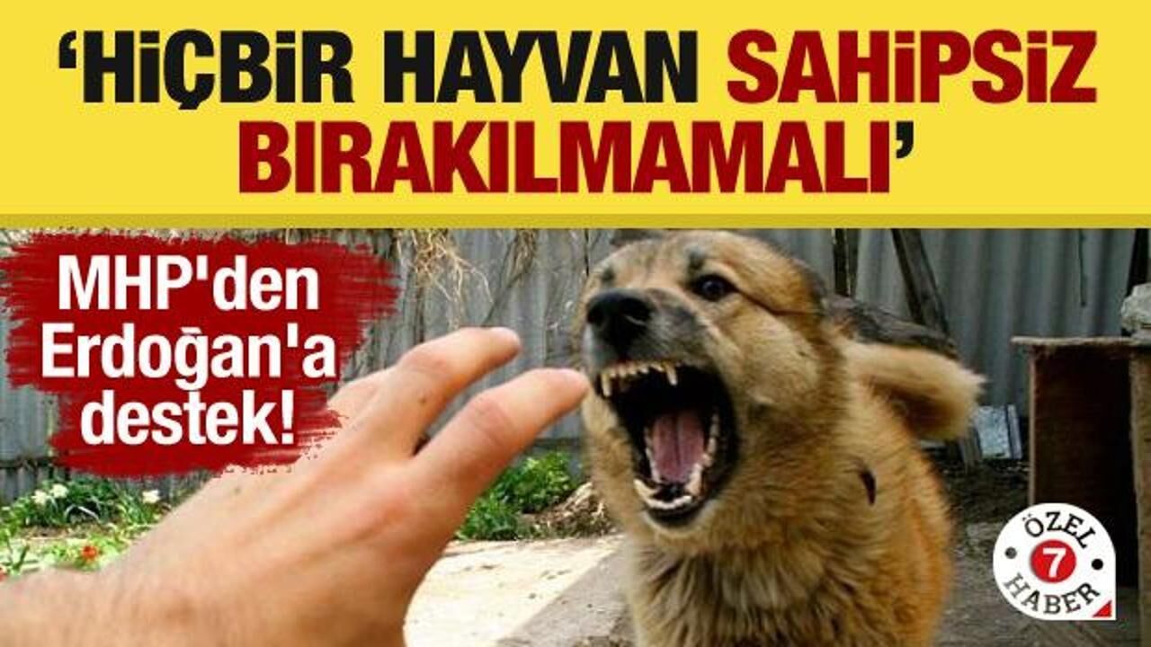 MHP'den Erdoğan'a destek! 'Hiçbir hayvan sahipsiz bırakılmamalı'