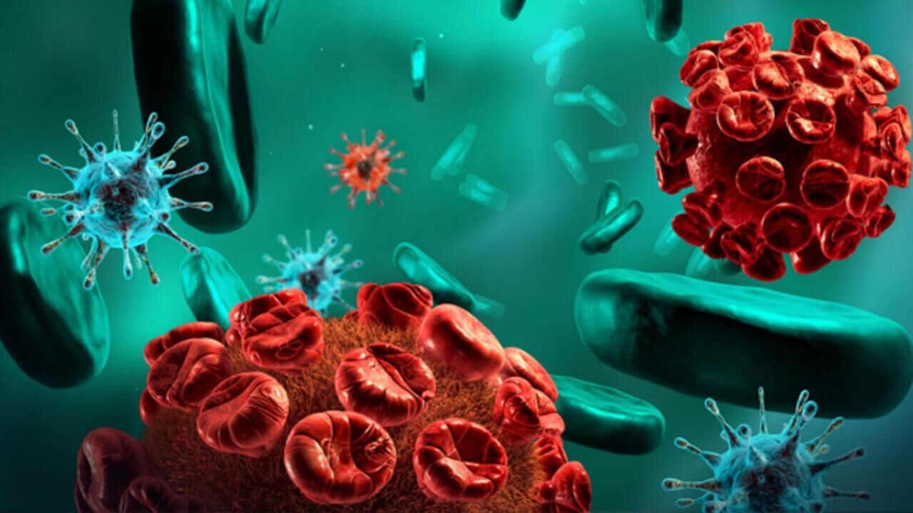 DSÖ son rakamları verdi: Gizemli hepatit 700, can kaybı: 10