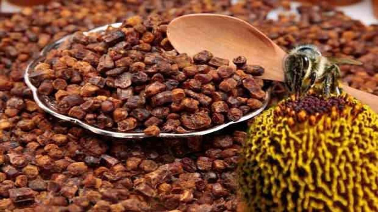 Arı ekmeği kullananlara faydaları ve zararları nelerdir? Arı ekmeği nasıl yapılır?