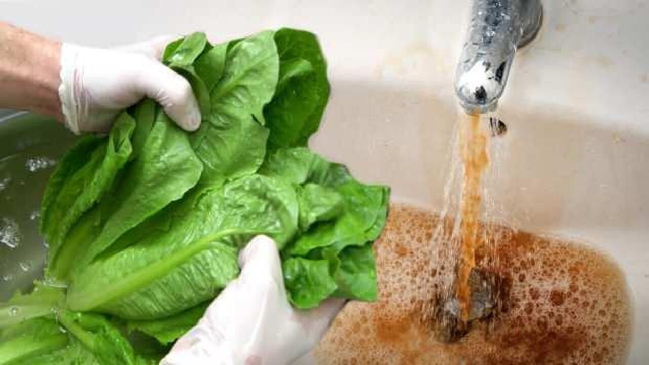 İyi yıkanmayan sebzeler yaz ishali yapıyor! Yaz ishali neden olur, belirtileri nelerdir?