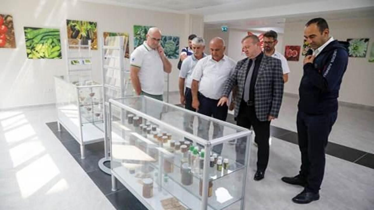 Azerbaycan'dan dikkat çeken Türkiye hamlesi: Üç ili rol model olarak alacaklar