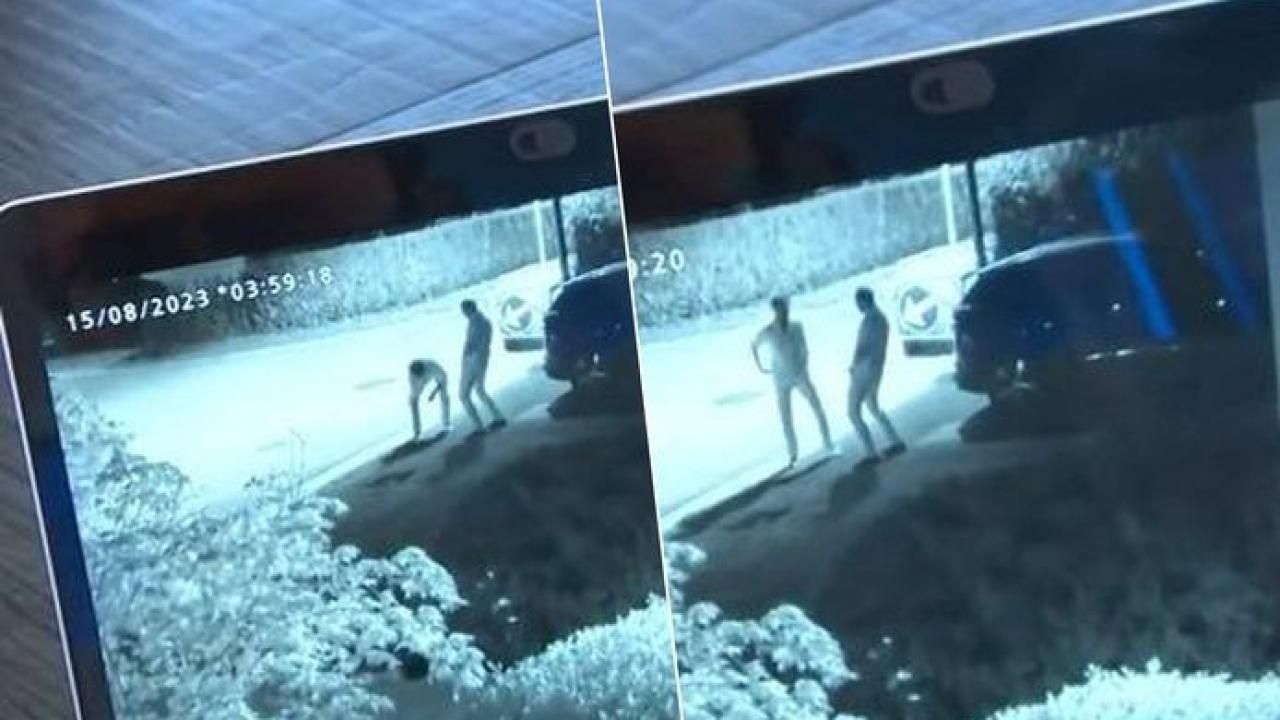 Belçika'da 'Pipigate' skandalı: Adalet Bakanı özür diledi