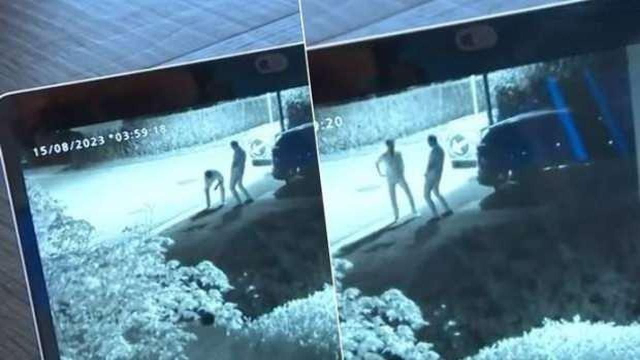 Belçika'da "Pipigate" skandalı: Adalet Bakanı özür diledi