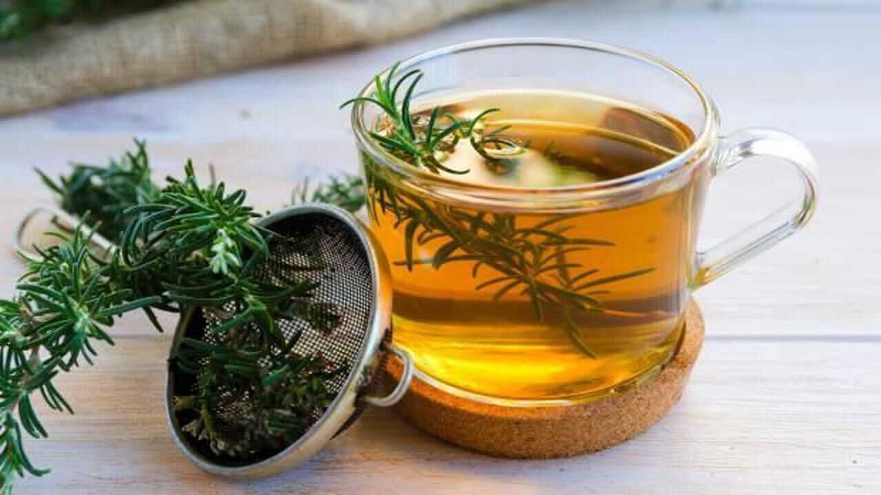 Çam yaprağı çayının faydaları ve zararları: Çam iğnesi çayı nasıl yapılır?