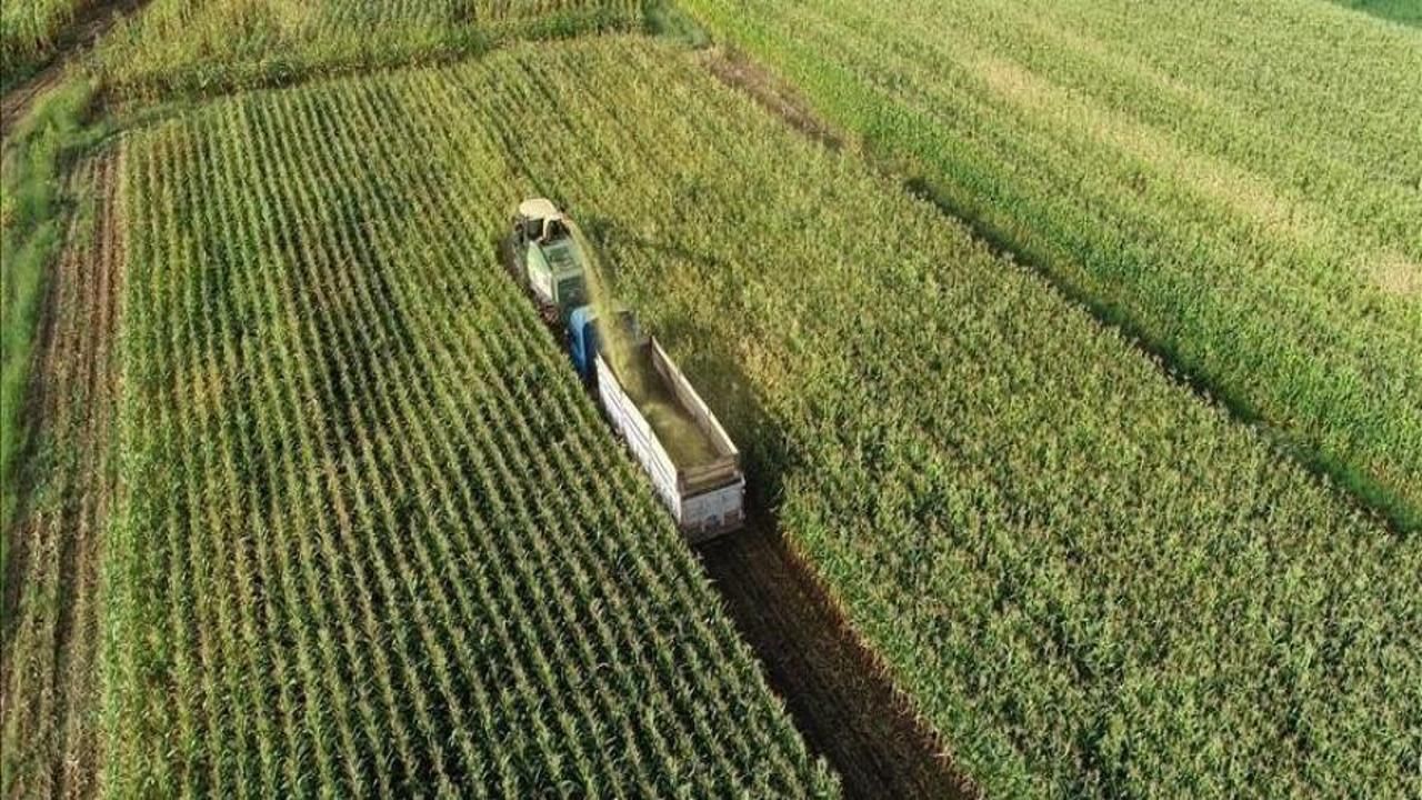 Çiftçilere bu yıl için ödenecek tarımsal destekler belli oldu