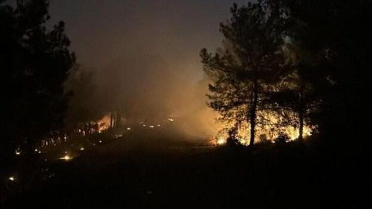 İzmir Buca'da orman yangını çıktı!