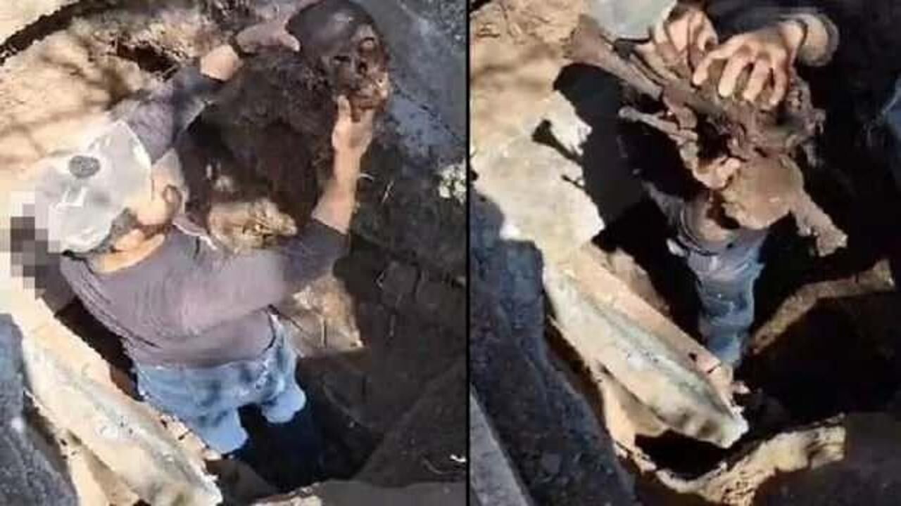 Şoke eden manzara! Mezardan kemikleri çıkardı! Kafatasını öpüp salladı