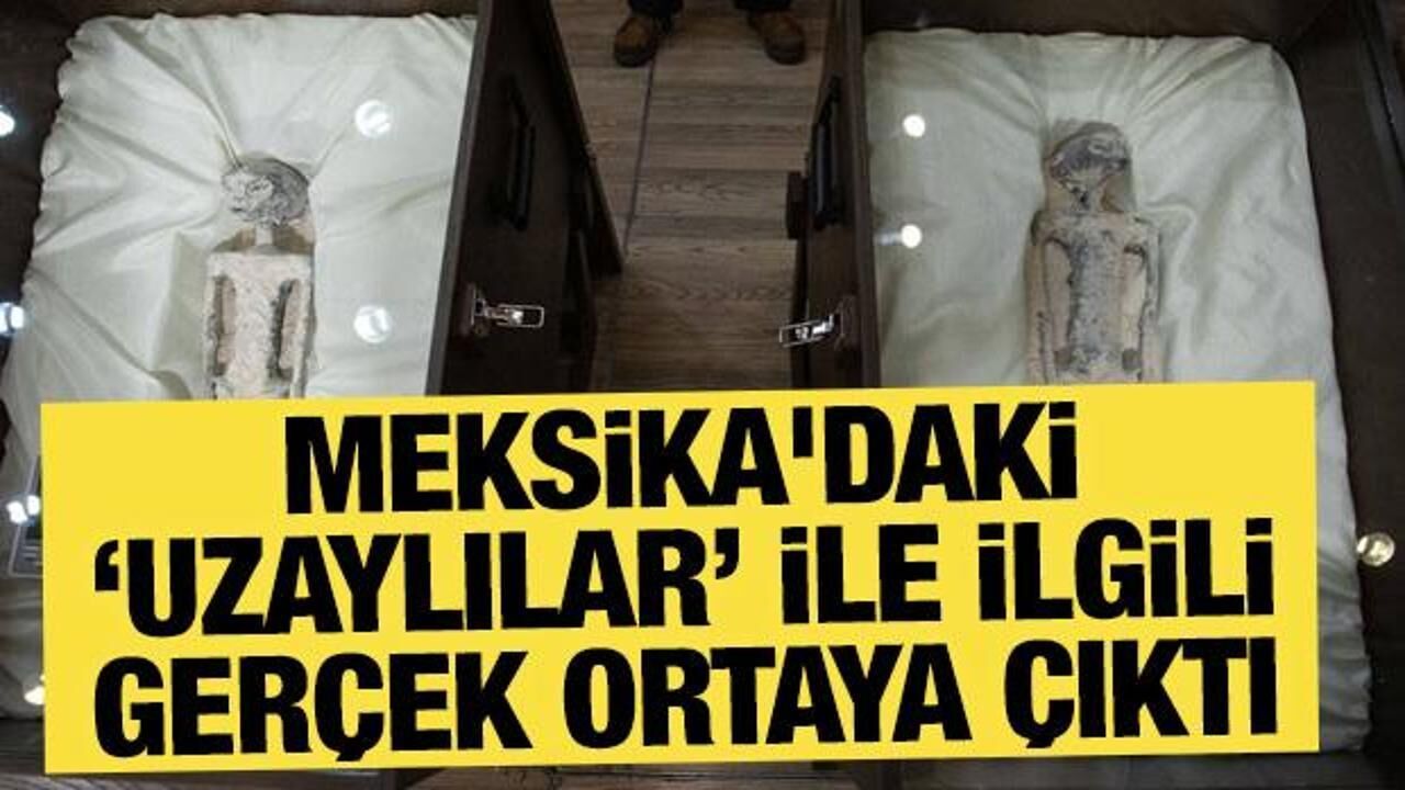 Meksika'daki uzaylı fosilleri ile ilgili gerçek ortaya çıktı