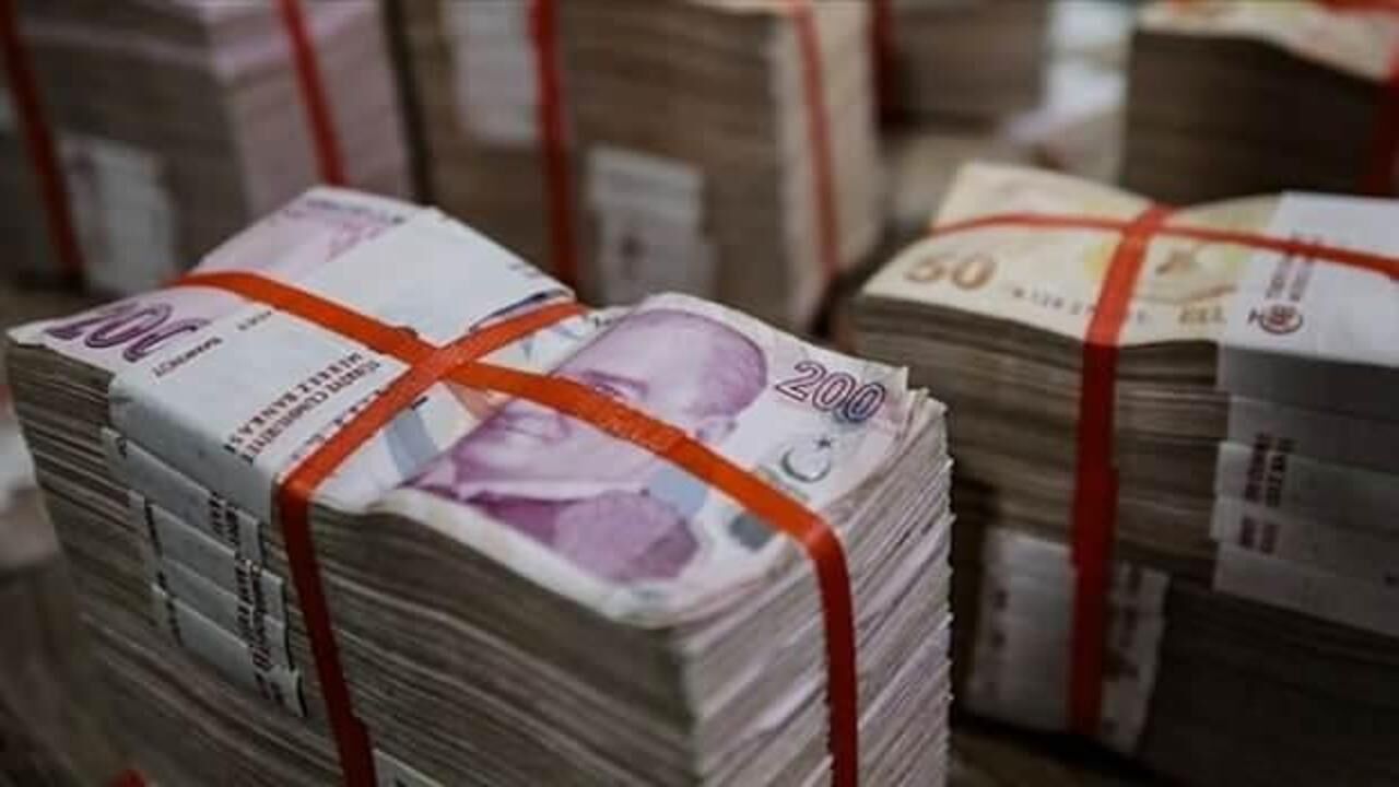 Ödenekte en yüksek pay Hazine ve Maliye Bakanlığı'na