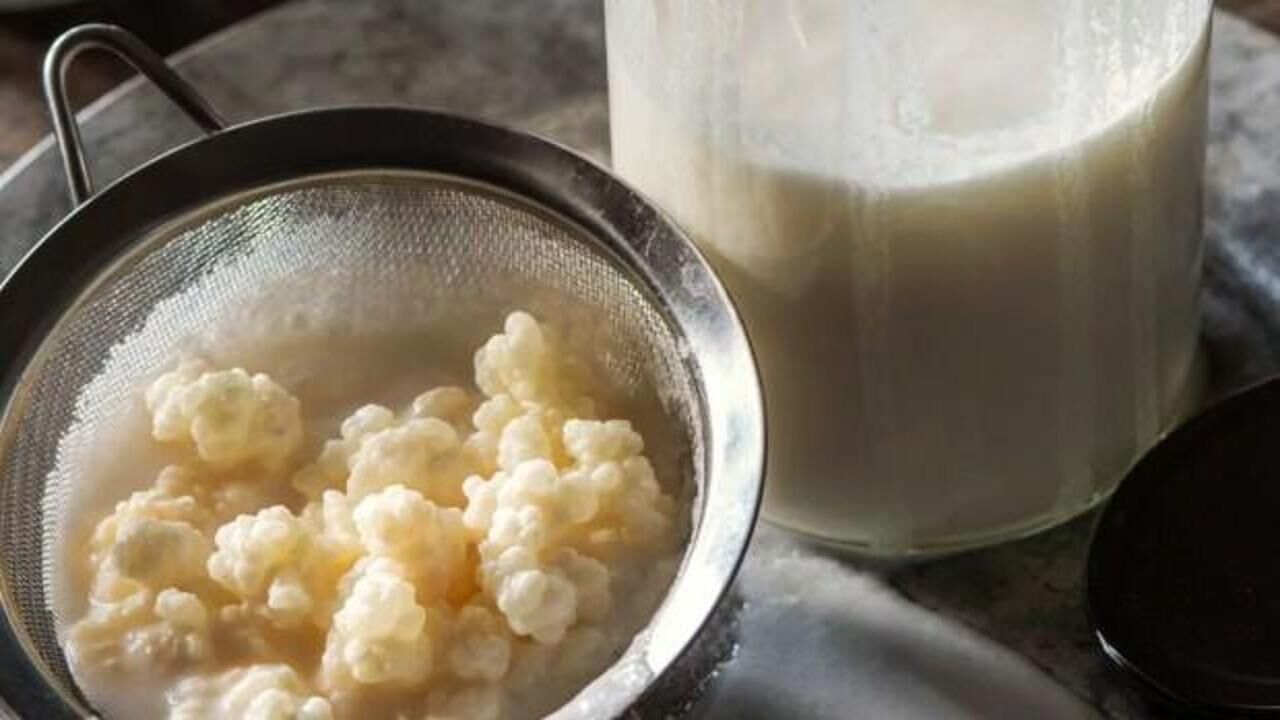 Sabah aç karnına kefir içmenin faydaları nedir? Her gün kefir içmek, laktozsuz kefir...