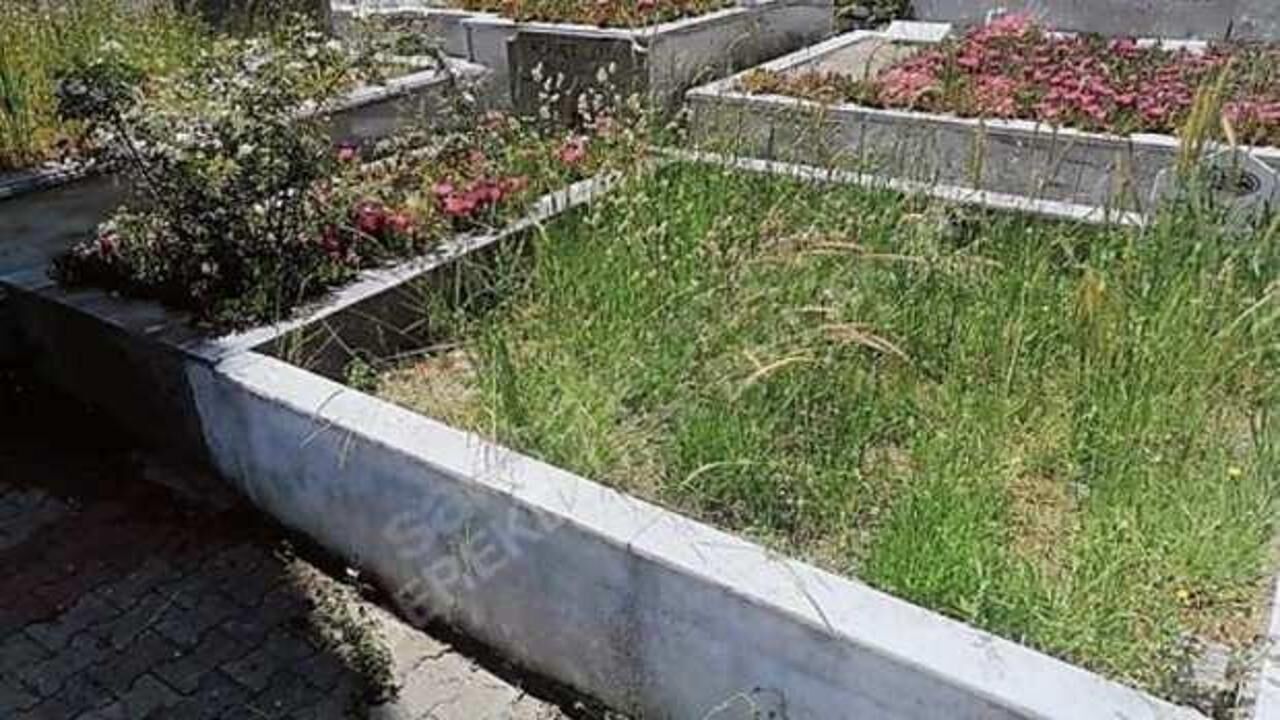 'Sabancı’ya komşu' diyerek 7,5 milyon TL'den mezar yeri ilana koydu!