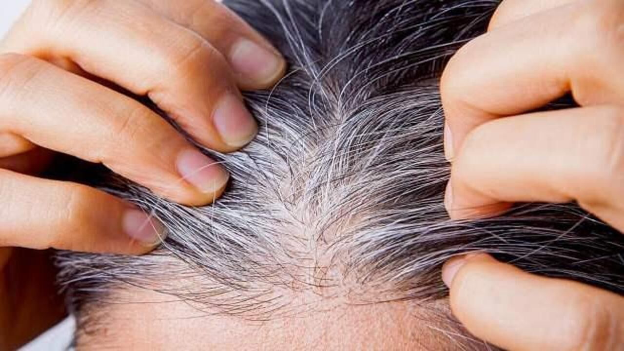 Saç beyazlamasına son! İbn-i Sina’dan 3 önemli yağ önerisi…