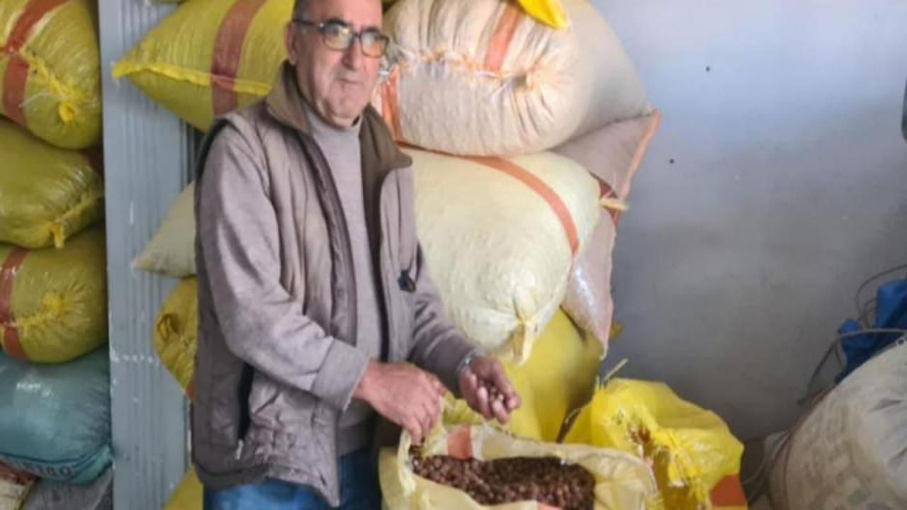 Fındıkta beklentiler yüksek: "Elinde tutan altın yılını yaşar"