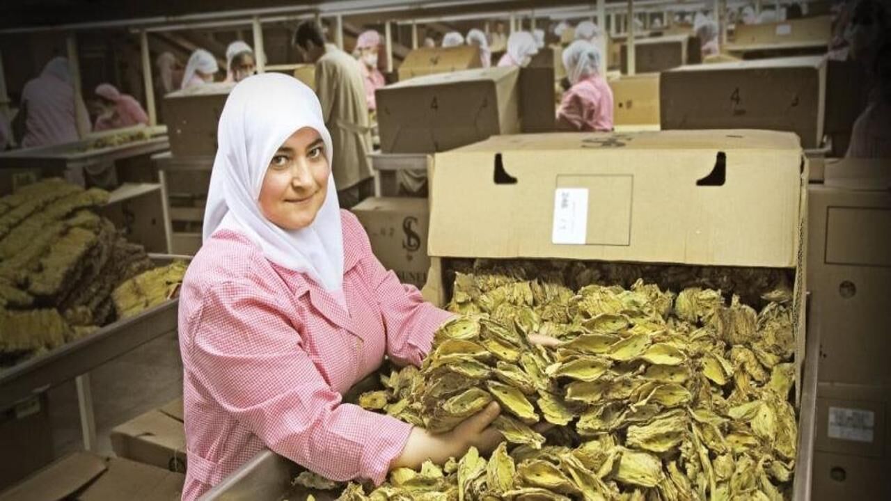 KOBİ'ler için kredi garanti sistemi geliyor