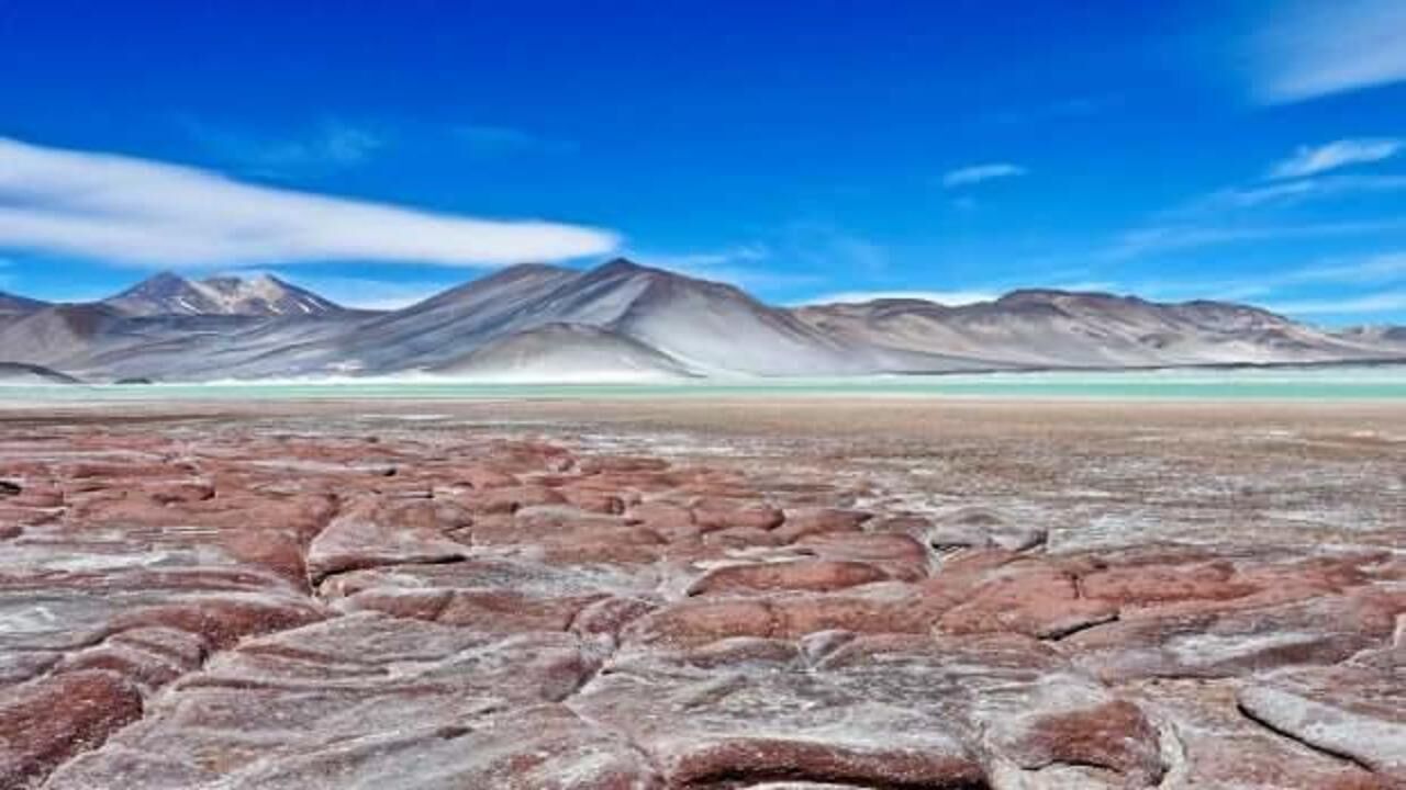 Dünyanın en büyük çölüne kurulacak! İşte dev proje hakkında bilinenler...