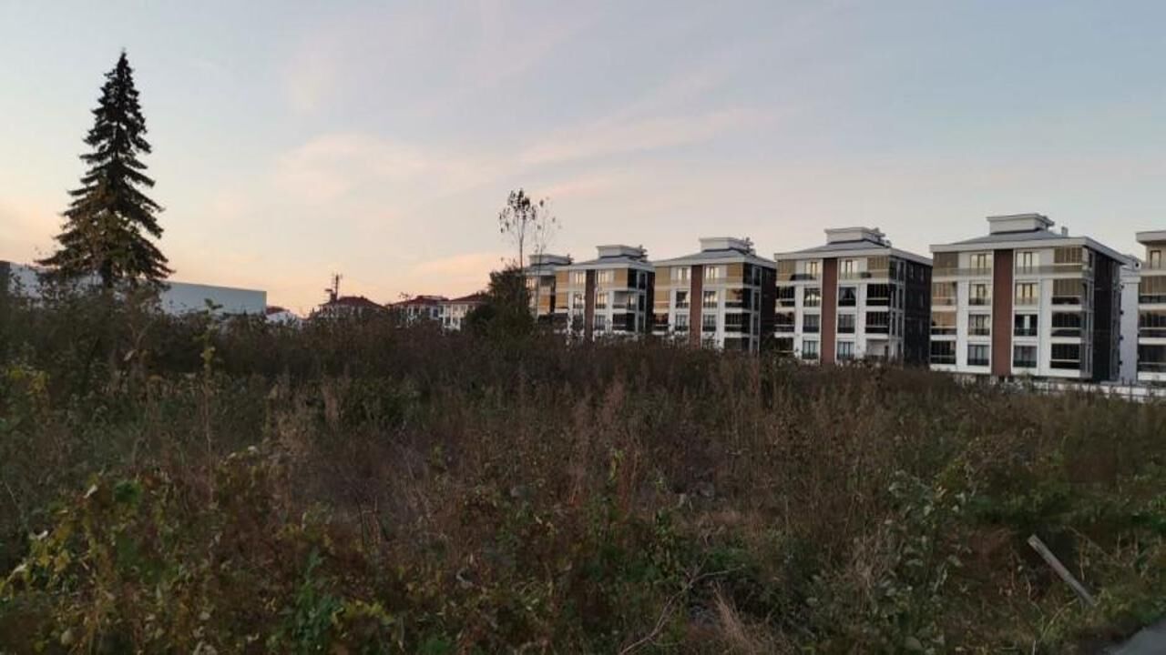 Ağaçları kesmeye başladılar! Arsa fiyatlarını dairelere ekliyorlar