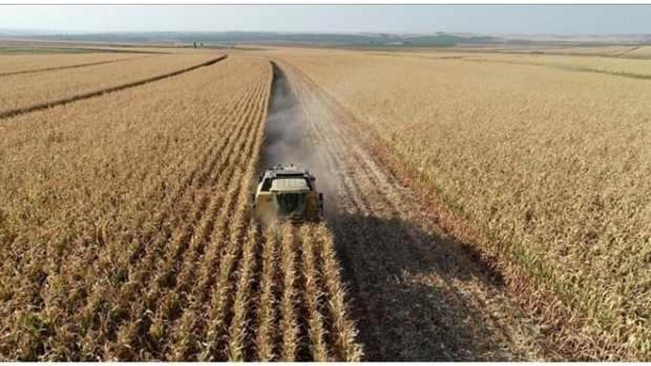 Tarımsal girdi fiyatları eylülde yüzde 2,63 arttı