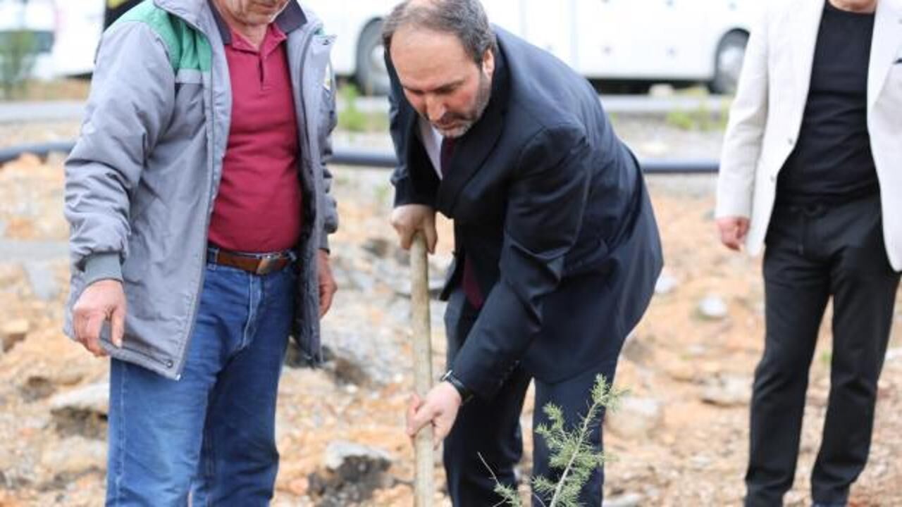 TDV '1 İyilik 1 Fidan' kampanyasıyla yıl sonuna kadar 800 bin fidan dikecek