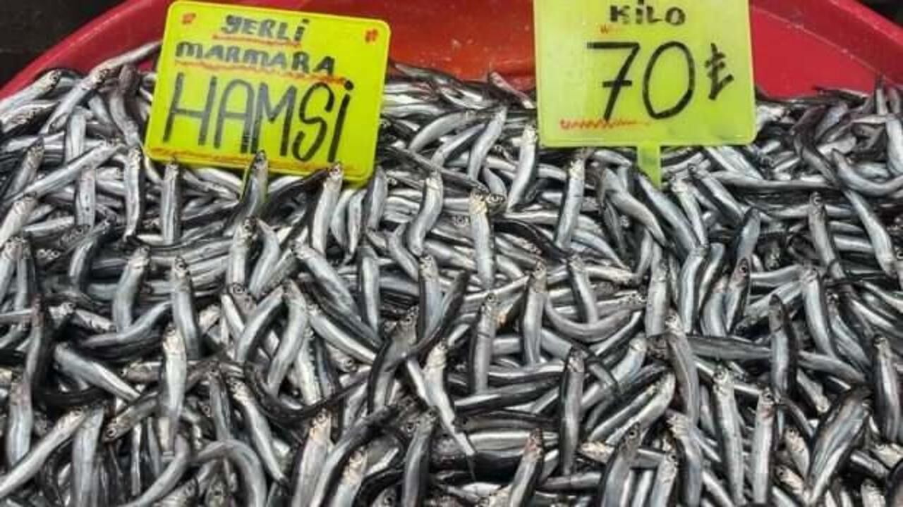 Büyük balık küçük balığı yiyemedi, hamsi bollaştı