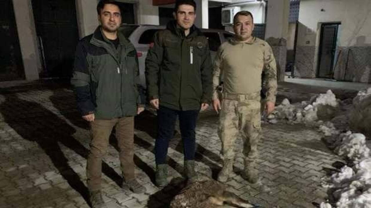 Van'da yaban keçisi avlayan 2 kişiye 314 bin 576 lira idari para cezası kesildi!
