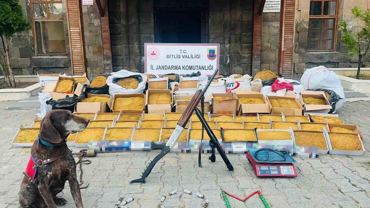 Bitlis’te 1 ton kaçak tütün ele geçirildi