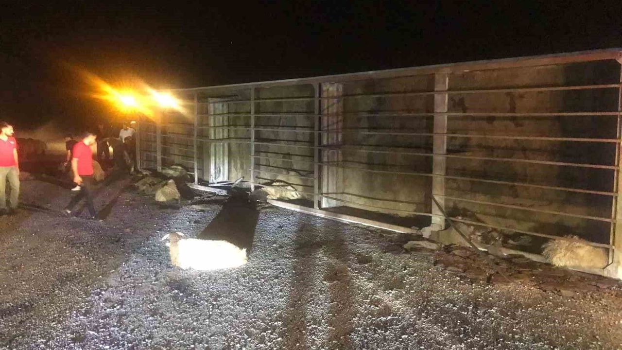 Bitlis'te tır devrildi: 63 koyun telef oldu