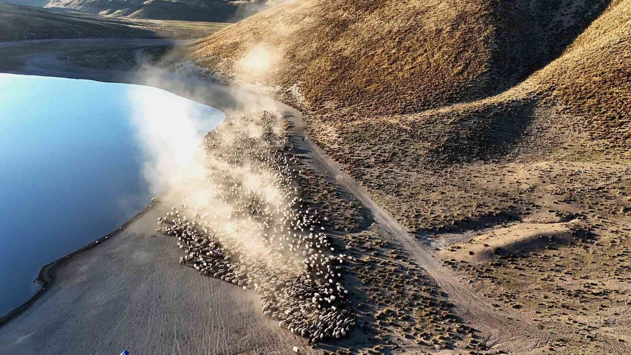 Bitlis'te sürülerin tozlu  yolculuğu ortaya kartpostallık görüntüler çıkarıyor
