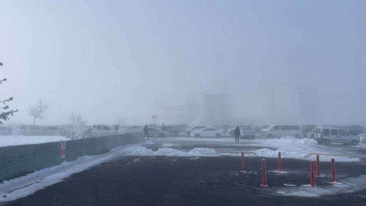Bitlis’te etkili olan Sibirya soğukları dondurdu