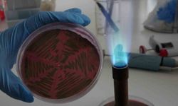 Çiğ süt tüketenler dikkat! Uzmanı uyarıyor