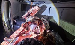 Hatay'da minibüste menşei belirsiz 1 ton kırmızı et ele geçirildi