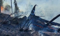 Hopa’da orman yangını büyüyor: 5 hektar alan kül oldu
