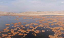 Van'dan kartpostallık manzaralar