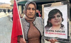 Vanlı annenin yürek burkan feryadı