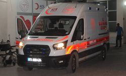 Cizre’de Pizzadan Kaynaklı Zehirlenme Can Aldı