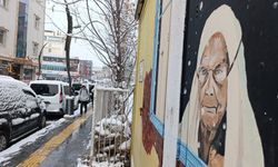 Meteorolojiden Van için kar yağışı uyarısı!