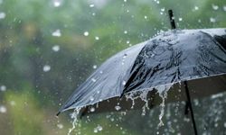 Van'da bugün yağış bekleniyor mu?