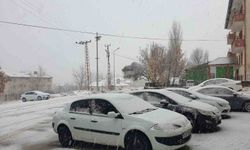 Van Başkale'de kar yağışı etkili oldu