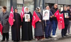 Vanlı annelerin evlat nöbeti 114 haftadır sürüyor