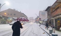 Van'ın Başkale ilçesinde kar yağışı etkili oldu