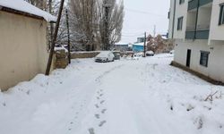 Başkale'de heryer beyaza büründü