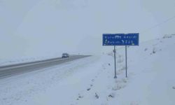 Van’da 102 yerleşim yerinin yolu ulaşıma kapandı