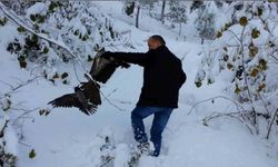 Kargayı atmacanın pençelerinden yoldan geçen vatandaşlar kurtardı