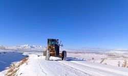 Van-Bahçesaray yolu ulaşıma kapandı