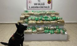 Van’da 51 kilo skunk ele geçirildi