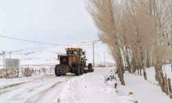 Van’da 389 yerleşim yerinin yolu ulaşıma kapandı