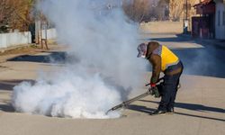 Van’da kışlak ilaçlama çalışmaları başladı