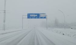 Van’da yoğun kar yağışı etkili oldu