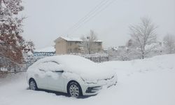 Başkale beyaza büründü: 11 yerleşim yeri yolu kapandı